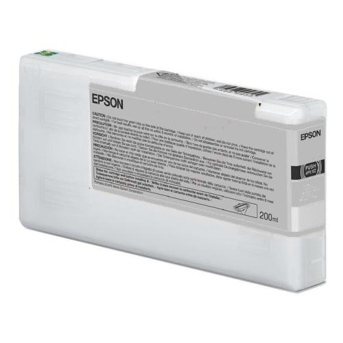 Epson cartouche d'impression noir (C13T913700 / T9137)